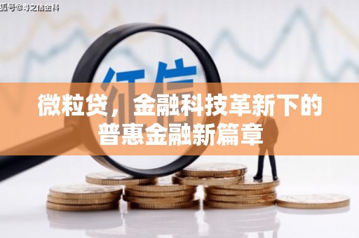 永靖微粒贷，金融科技革新下的普惠金融新篇章