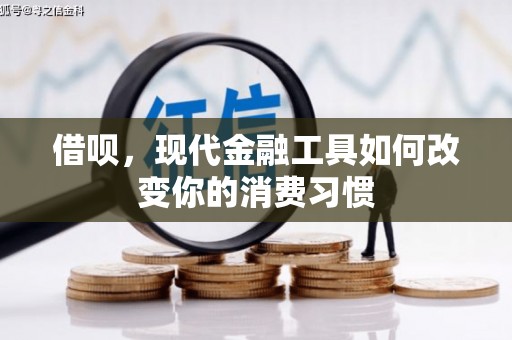 永靖借呗，现代金融工具如何改变你的消费习惯