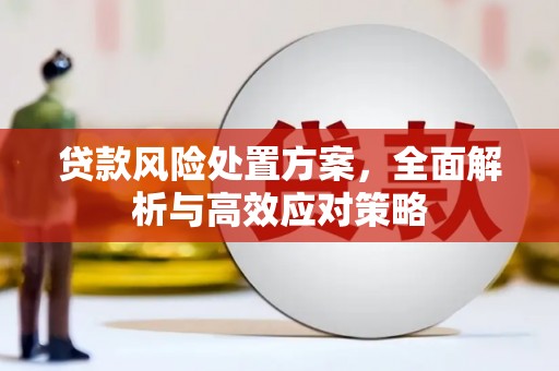 永靖贷款风险处置方案，全面解析与高效应对策略