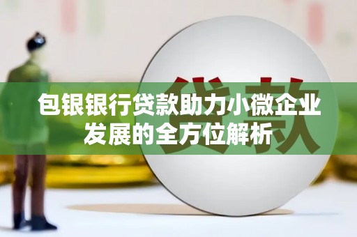 永靖包银银行贷款助力小微企业发展的全方位解析