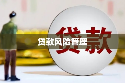 永靖贷款风险管理