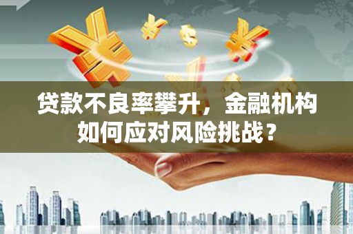 永靖贷款不良率攀升，金融机构如何应对风险挑战？