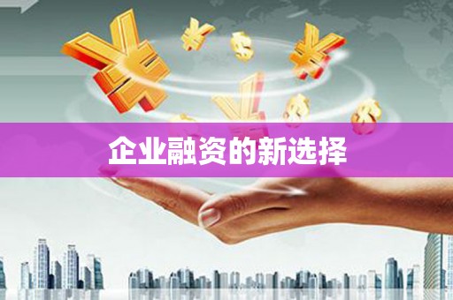 永靖企业融资的新选择