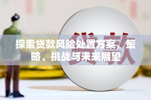 永靖探索贷款风险处置方案，策略、挑战与未来展望