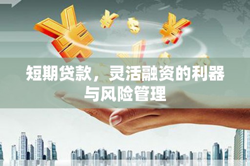 永靖短期贷款，灵活融资的利器与风险管理