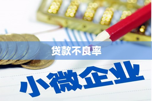 永靖贷款不良率