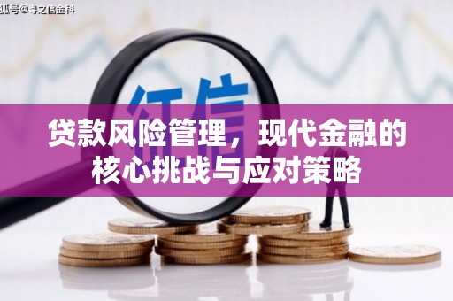 永靖贷款风险管理，现代金融的核心挑战与应对策略