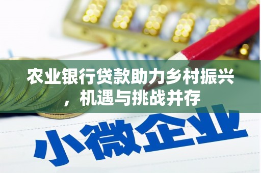 永靖农业银行贷款助力乡村振兴，机遇与挑战并存
