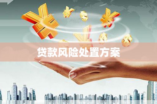 永靖贷款风险处置方案