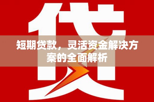 永靖短期贷款，灵活资金解决方案的全面解析