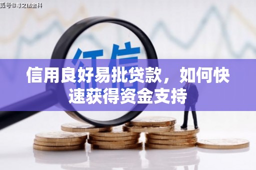 永靖信用良好易批贷款，如何快速获得资金支持