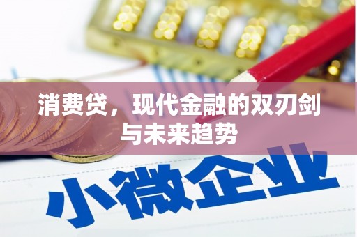 永靖消费贷，现代金融的双刃剑与未来趋势