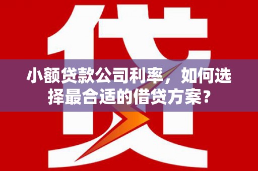 永靖小额贷款公司利率，如何选择最合适的借贷方案？