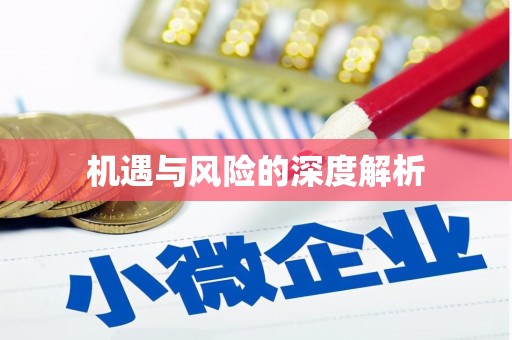 永靖机遇与风险的深度解析