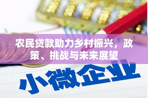 永靖农民贷款助力乡村振兴，政策、挑战与未来展望