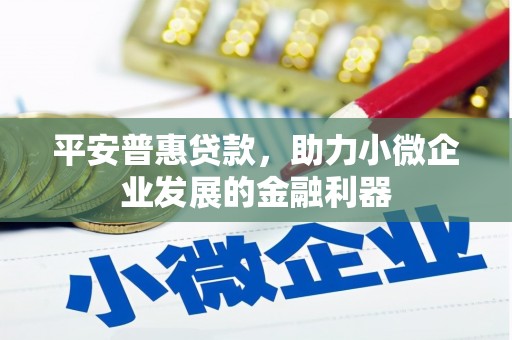 永靖平安普惠贷款，助力小微企业发展的金融利器