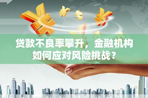 永靖贷款不良率攀升，金融机构如何应对风险挑战？