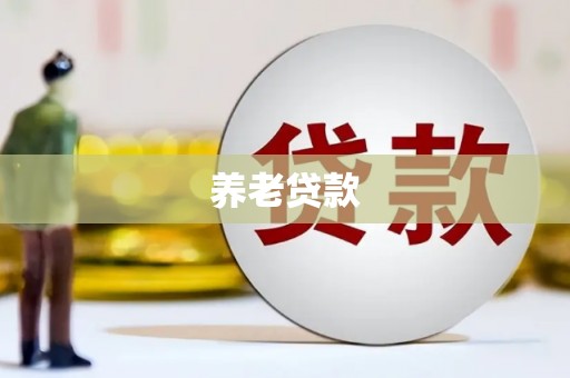 永靖养老贷款