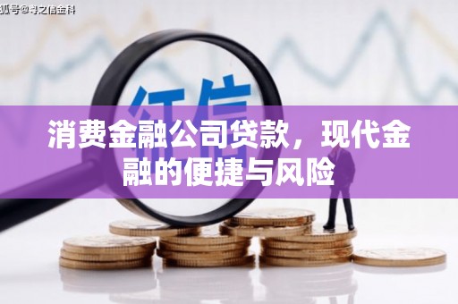 永靖消费金融公司贷款，现代金融的便捷与风险
