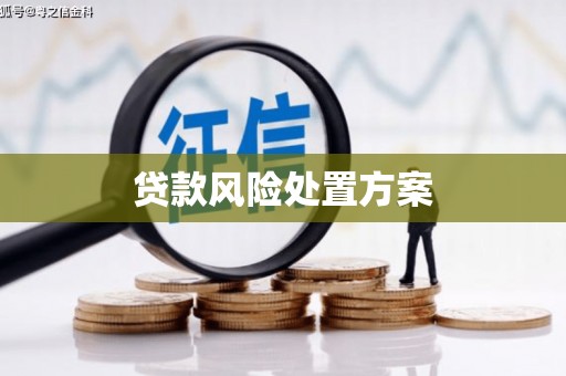 永靖贷款风险处置方案
