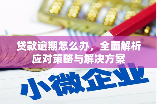 永靖贷款逾期怎么办，全面解析应对策略与解决方案