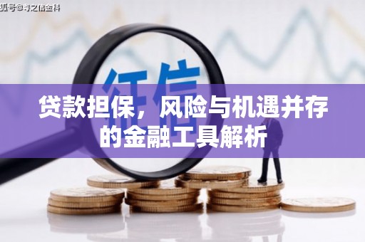 永靖贷款担保，风险与机遇并存的金融工具解析