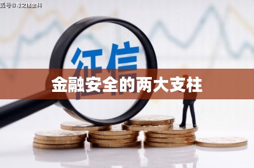 永靖金融安全的两大支柱