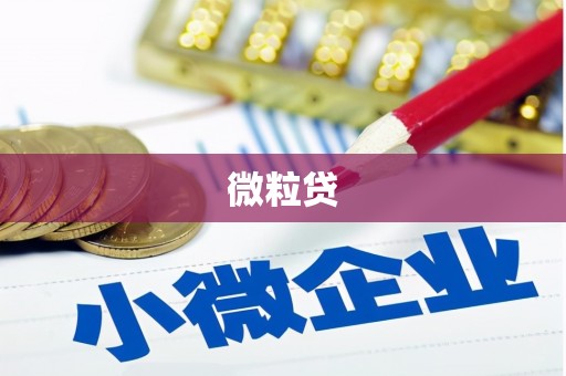 永靖微粒贷
