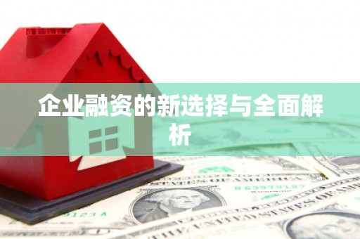 永靖企业融资的新选择与全面解析
