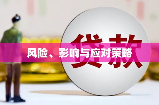 永靖风险、影响与应对策略
