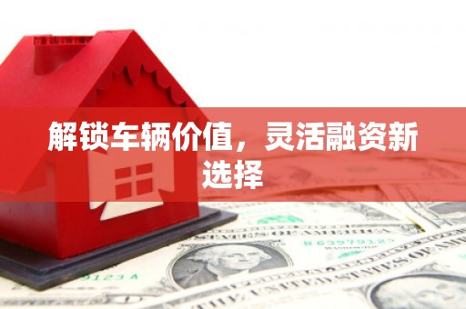永靖解锁车辆价值，灵活融资新选择