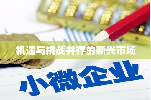 永靖机遇与挑战并存的新兴市场