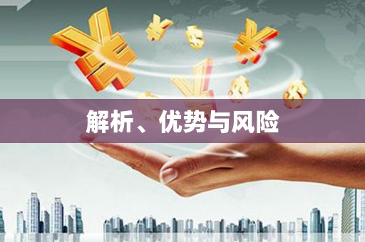 永靖解析、优势与风险