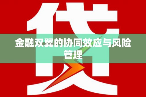 永靖金融双翼的协同效应与风险管理