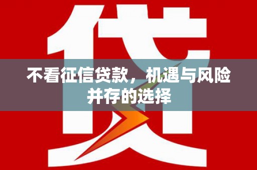 永靖不看征信贷款，机遇与风险并存的选择