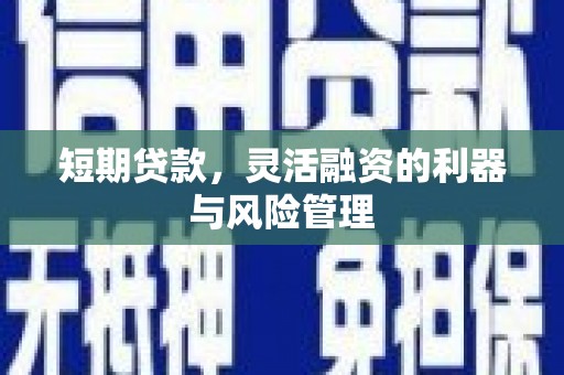 永靖短期贷款，灵活融资的利器与风险管理