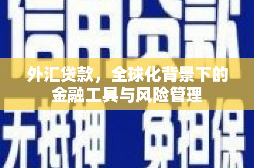 永靖外汇贷款，全球化背景下的金融工具与风险管理