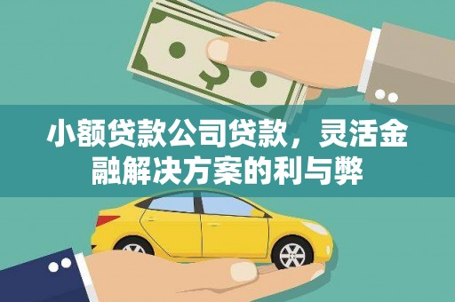 永靖小额贷款公司贷款，灵活金融解决方案的利与弊