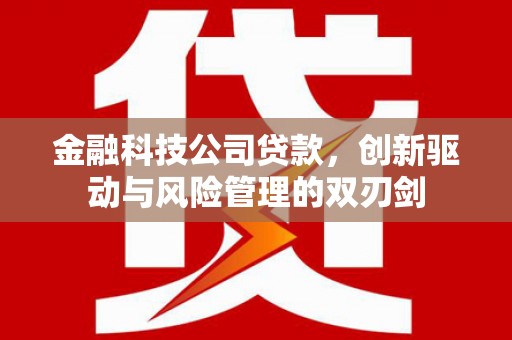 永靖金融科技公司贷款，创新驱动与风险管理的双刃剑